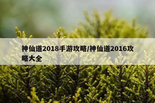 神仙道2018手游攻略/神仙道2016攻略大全