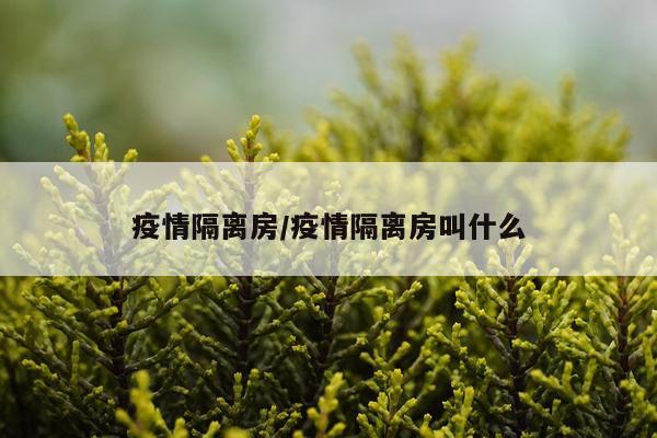 疫情隔离房/疫情隔离房叫什么