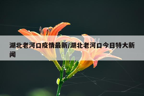 湖北老河口疫情最新/湖北老河口今日特大新闻
