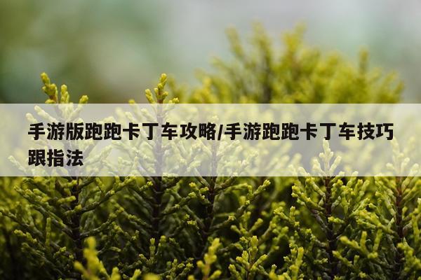 手游版跑跑卡丁车攻略/手游跑跑卡丁车技巧跟指法