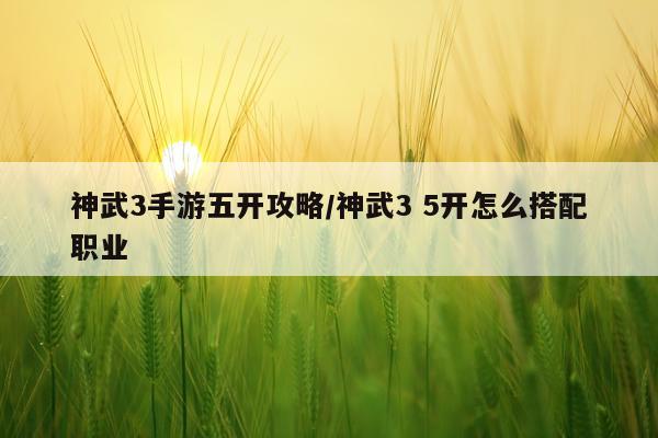 神武3手游五开攻略/神武3 5开怎么搭配职业