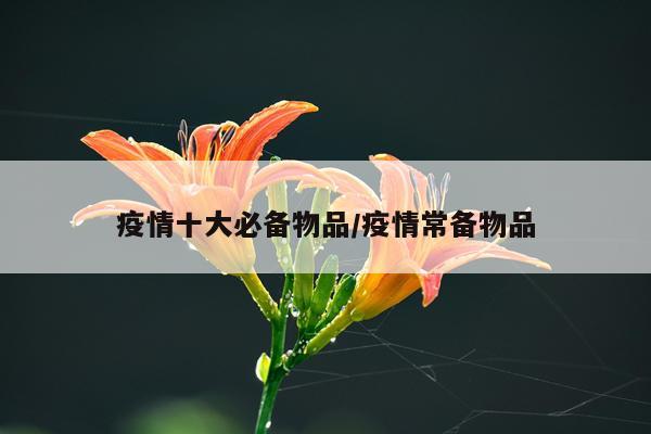 疫情十大必备物品/疫情常备物品