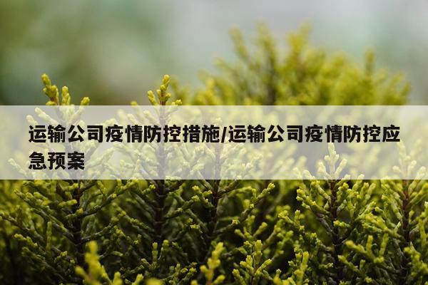 运输公司疫情防控措施/运输公司疫情防控应急预案