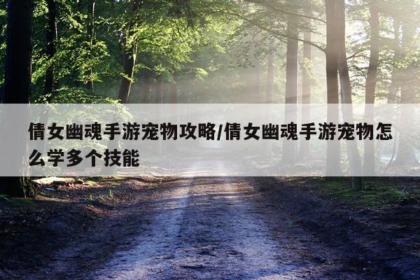 倩女幽魂手游宠物攻略/倩女幽魂手游宠物怎么学多个技能
