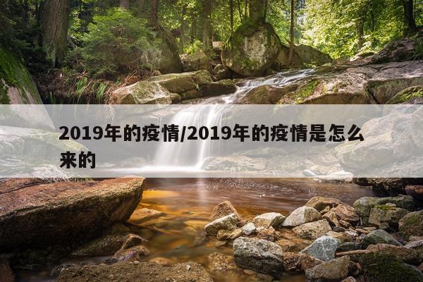 2019年的疫情/2019年的疫情是怎么来的