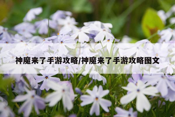 神魔来了手游攻略/神魔来了手游攻略图文