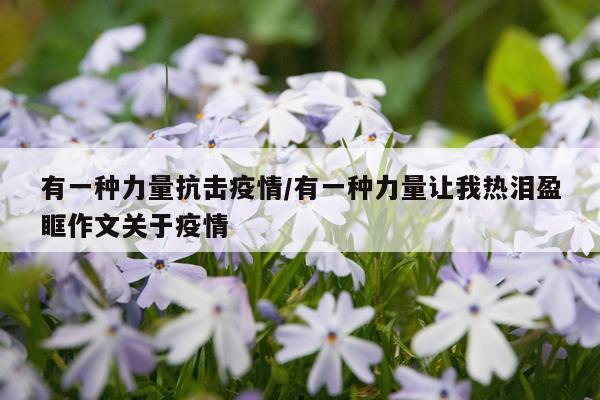 有一种力量抗击疫情/有一种力量让我热泪盈眶作文关于疫情