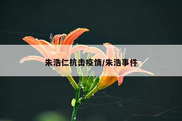 朱浩仁抗击疫情/朱浩事件