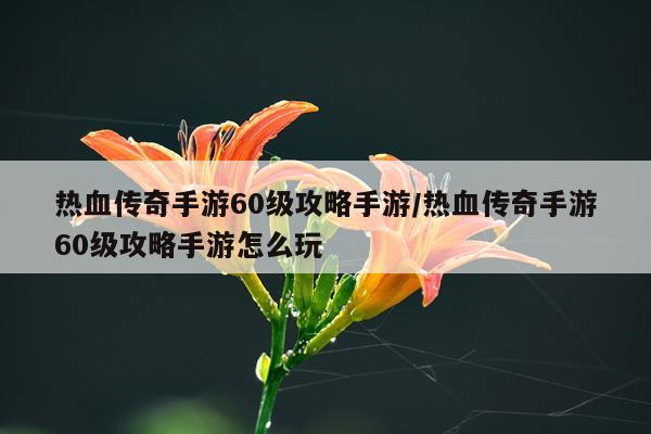 热血传奇手游60级攻略手游/热血传奇手游60级攻略手游怎么玩