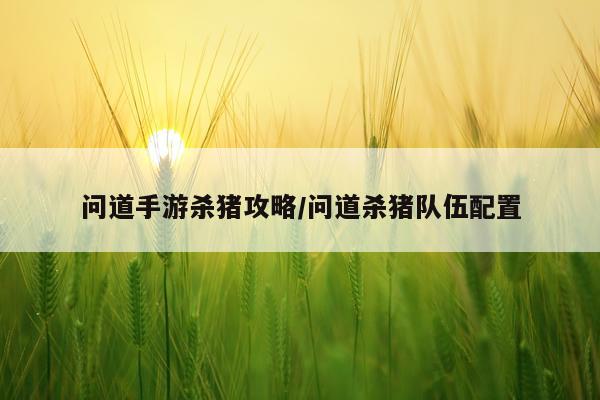 问道手游杀猪攻略/问道杀猪队伍配置