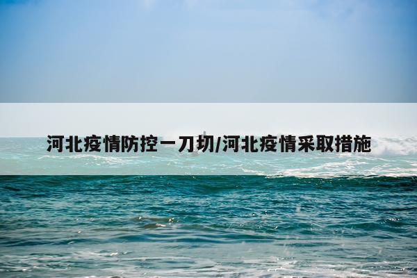 河北疫情防控一刀切/河北疫情采取措施