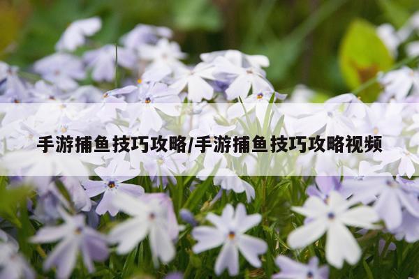 手游捕鱼技巧攻略/手游捕鱼技巧攻略视频