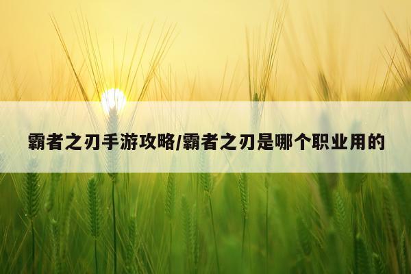 霸者之刃手游攻略/霸者之刃是哪个职业用的