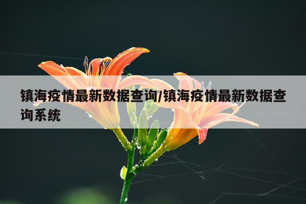 镇海疫情最新数据查询/镇海疫情最新数据查询系统