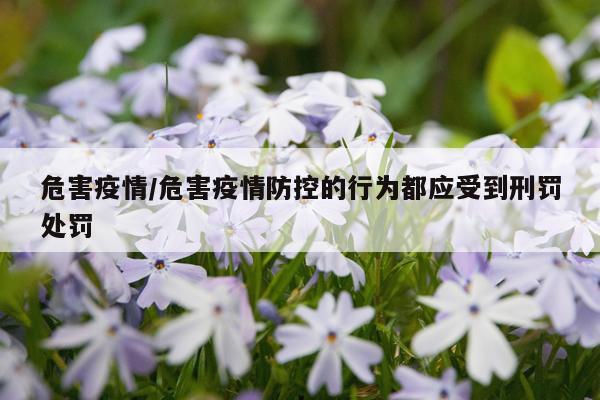 危害疫情/危害疫情防控的行为都应受到刑罚处罚