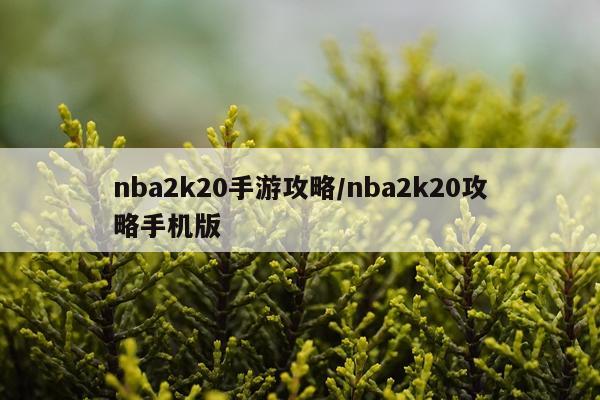 nba2k20手游攻略/nba2k20攻略手机版