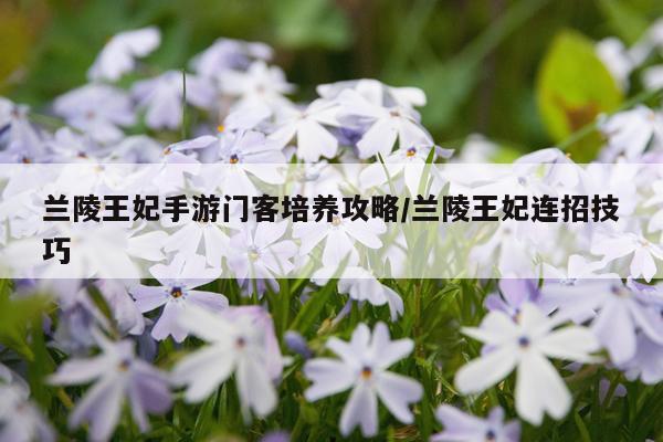 兰陵王妃手游门客培养攻略/兰陵王妃连招技巧