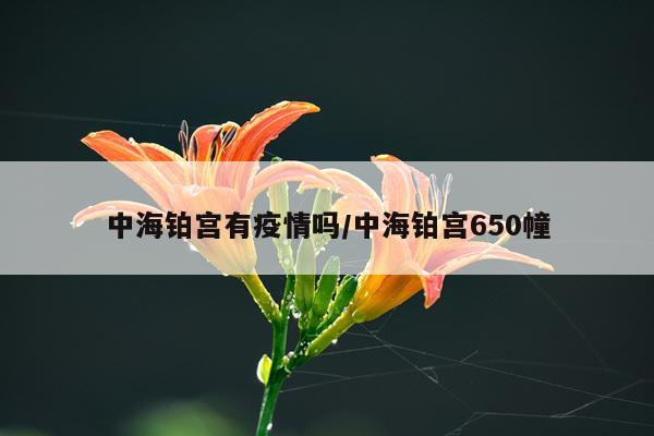 中海铂宫有疫情吗/中海铂宫650幢