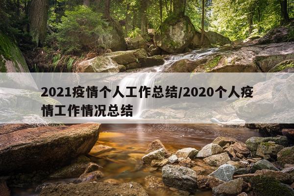 2021疫情个人工作总结/2020个人疫情工作情况总结