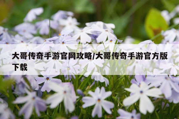 大哥传奇手游官网攻略/大哥传奇手游官方版下载