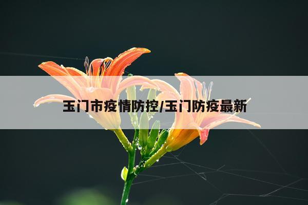 玉门市疫情防控/玉门防疫最新