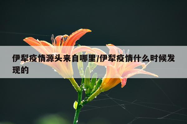 伊犁疫情源头来自哪里/伊犁疫情什么时候发现的