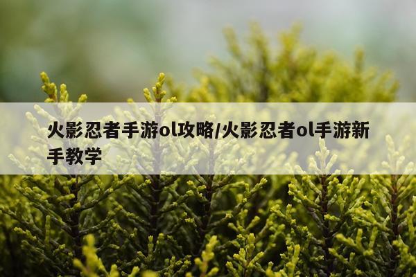 火影忍者手游ol攻略/火影忍者ol手游新手教学