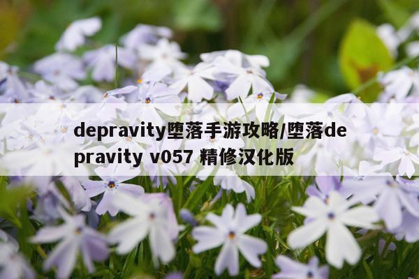 depravity堕落手游攻略/堕落depravity v057 精修汉化版