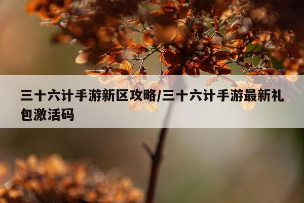 三十六计手游新区攻略/三十六计手游最新礼包激活码