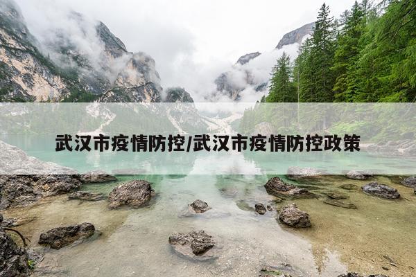 武汉市疫情防控/武汉市疫情防控政策