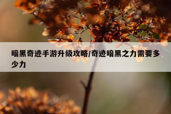 暗黑奇迹手游升级攻略/奇迹暗黑之力需要多少力