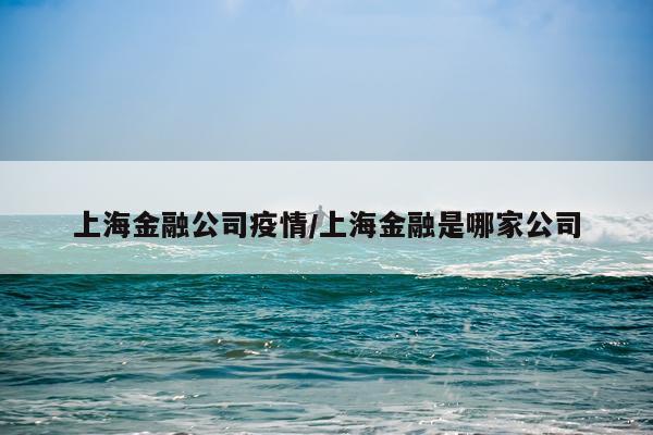 上海金融公司疫情/上海金融是哪家公司