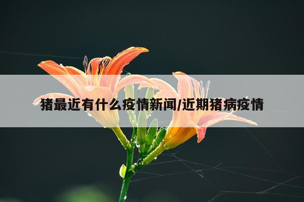 猪最近有什么疫情新闻/近期猪病疫情
