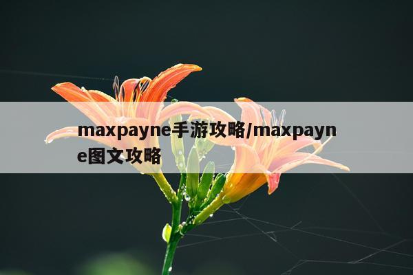 maxpayne手游攻略/maxpayne图文攻略