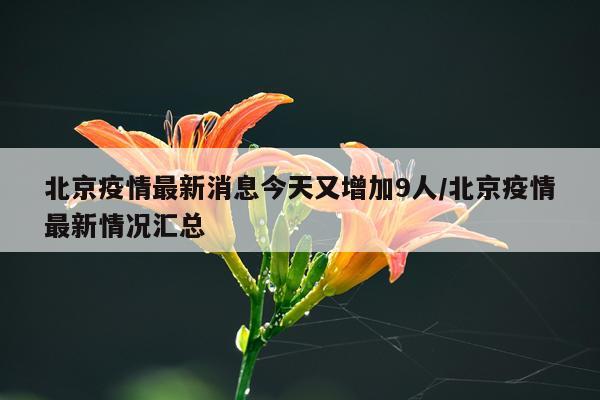 北京疫情最新消息今天又增加9人/北京疫情最新情况汇总