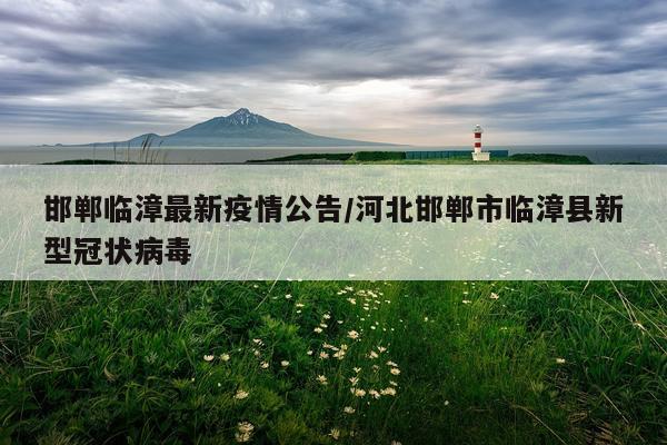 邯郸临漳最新疫情公告/河北邯郸市临漳县新型冠状病毒