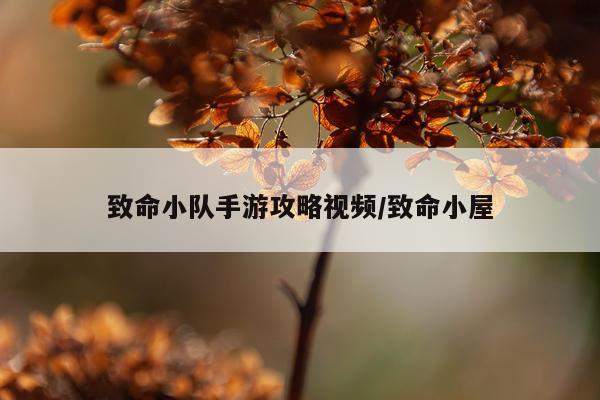 致命小队手游攻略视频/致命小屋