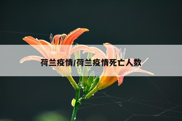 荷兰疫情/荷兰疫情死亡人数