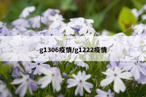 g1306疫情/g1222疫情