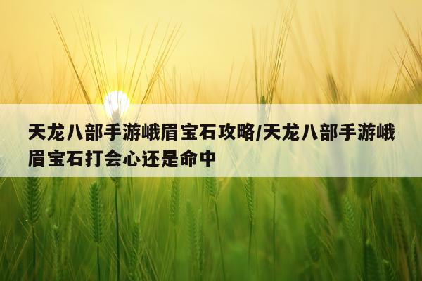天龙八部手游峨眉宝石攻略/天龙八部手游峨眉宝石打会心还是命中