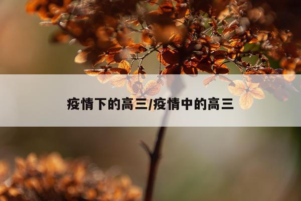 疫情下的高三/疫情中的高三
