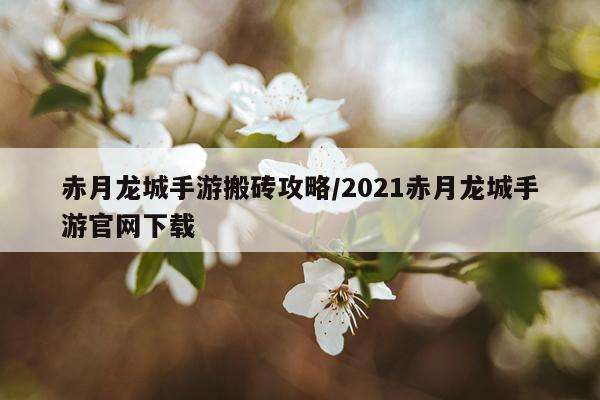 赤月龙城手游搬砖攻略/2021赤月龙城手游官网下载