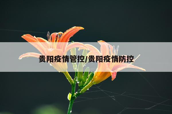 贵阳疫情管控/贵阳疫情防控