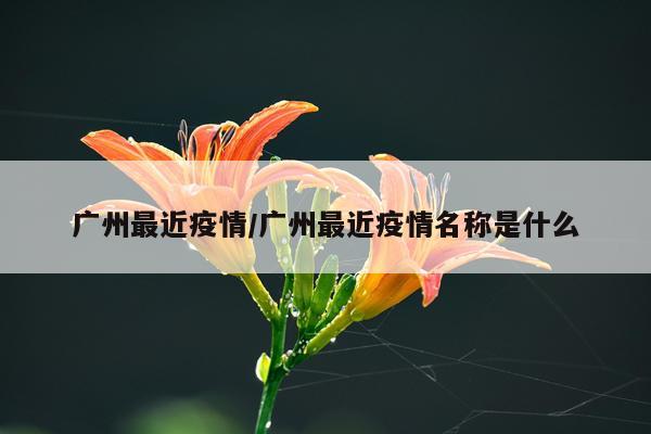 广州最近疫情/广州最近疫情名称是什么