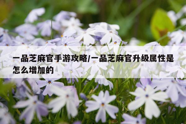 一品芝麻官手游攻略/一品芝麻官升级属性是怎么增加的