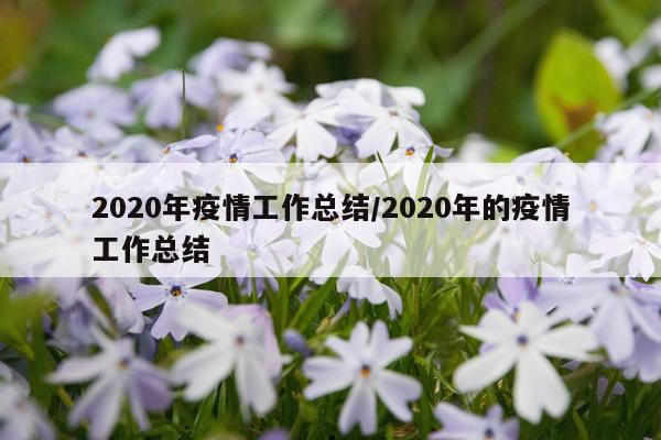 2020年疫情工作总结/2020年的疫情工作总结