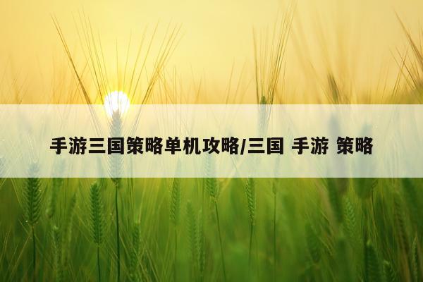 手游三国策略单机攻略/三国 手游 策略