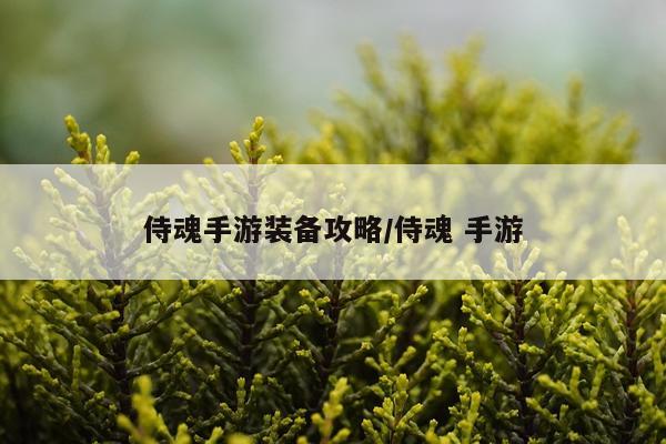 侍魂手游装备攻略/侍魂 手游