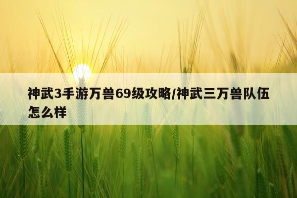 神武3手游万兽69级攻略/神武三万兽队伍怎么样