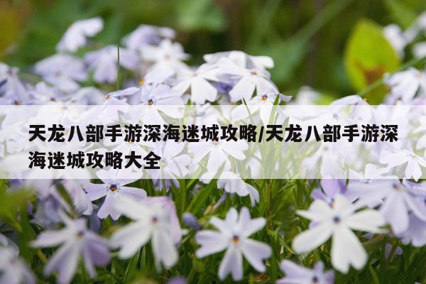 天龙八部手游深海迷城攻略/天龙八部手游深海迷城攻略大全
